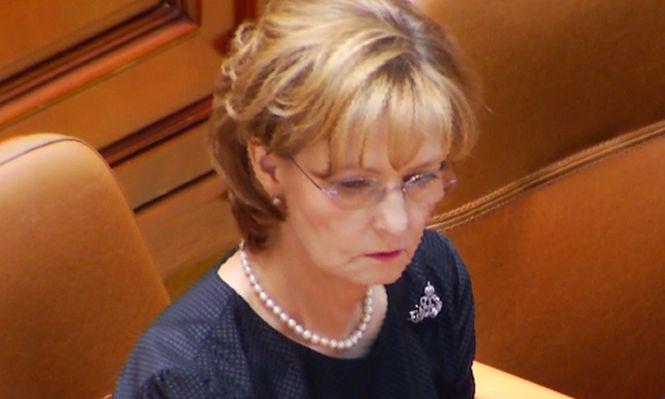 Şedinţa solemnă a Parlamentului în memoria Regelui Mihai. Iată mesajul transmis de Custodele Coroanei, Principesa Margareta - VIDEO