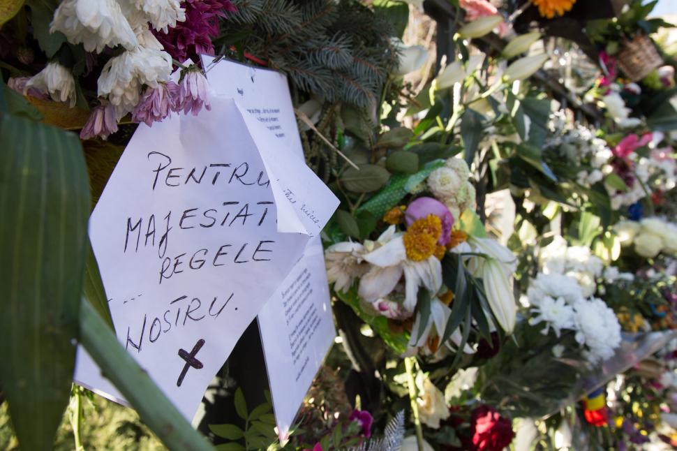 Scrisori către Regele Mihai I. „Sunt femeie de la țară, de la coarnele plugului. Te iubim, Majestate!” 497265