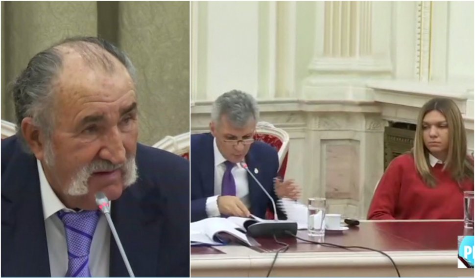 Țiriac, Halep și Năstase, în Parlament pentru a discuta soarta Arenelor BNR