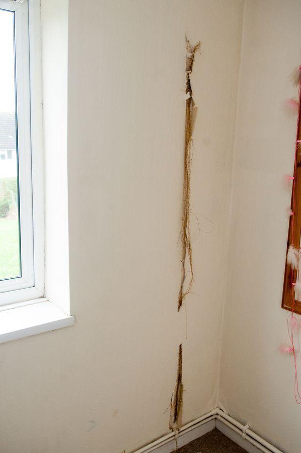 Primiseră o casă de la primărie și sperau să aibă parte de un nou început. Într-o seară, au văzut cum tapetul din dormitor se îndepărta de perete. Când s-au uitat, au avut un șoc (FOTO) 498214