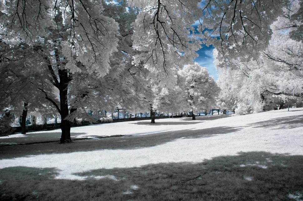 Prognoză meteo. Vremea va fi în continuare rece