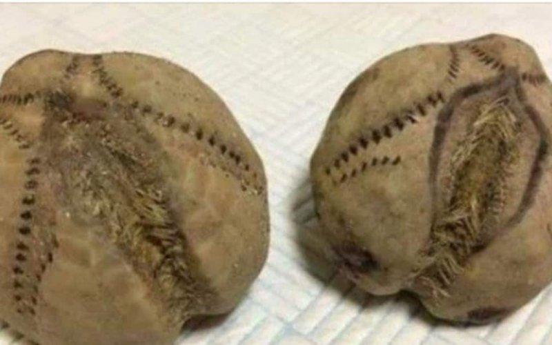 Se plimba pe plajă cu câinele său, când a observat ceva ciudat pe jos. S-a aplecat, iar când s-a uitat mai bine nu i-a venit să creadă ce vede: „Am crezut că sunt cartofi, dar...” (FOTO) 498242