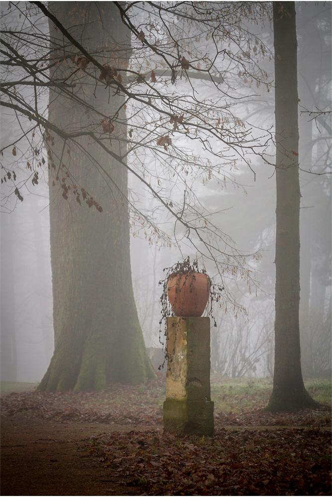  Mesaj răvășitor postat de Familia Regală a României. Ce se vede în fotografii FOTO 499764