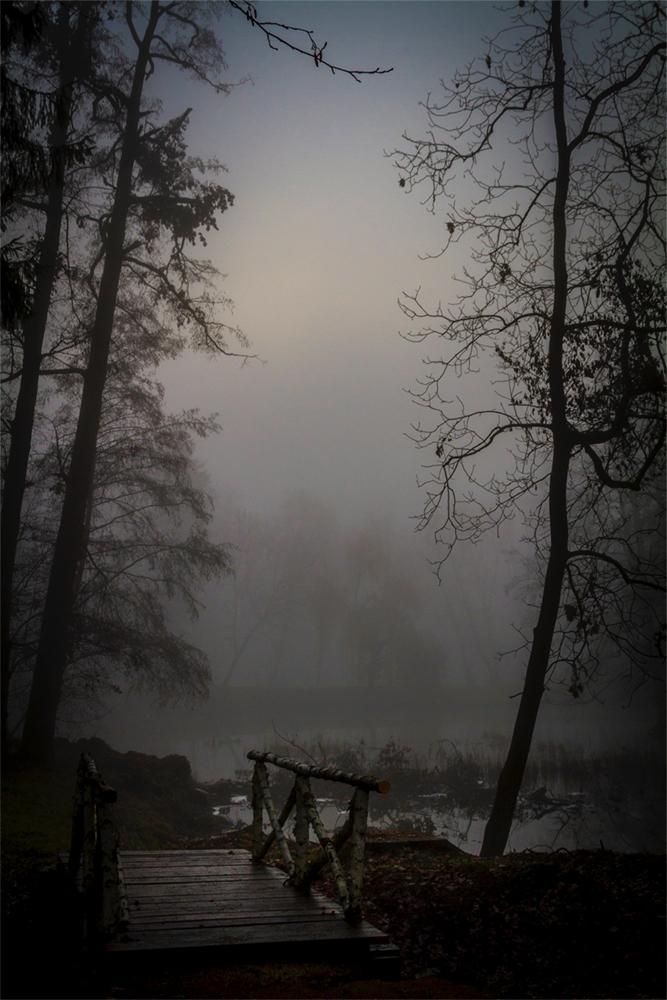  Mesaj răvășitor postat de Familia Regală a României. Ce se vede în fotografii FOTO 499765