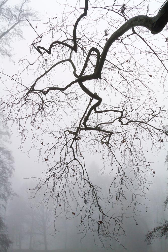  Mesaj răvășitor postat de Familia Regală a României. Ce se vede în fotografii FOTO 499768