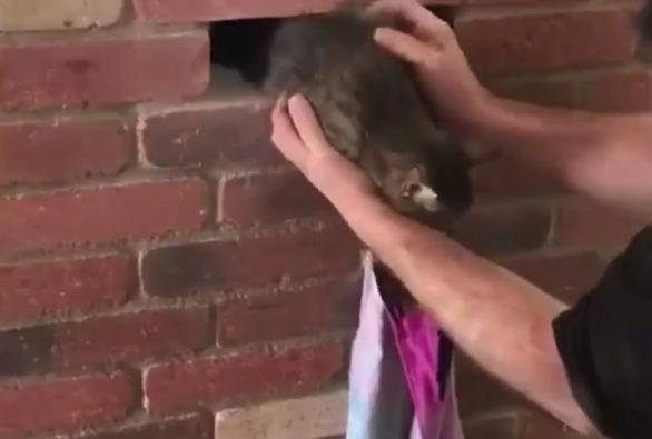 S-au trezit în miez de noapte auzind zgomote ciudate din șemineul lor. S-au apropiat și când și-au dat seama ce este, au intrat în panică. Au chemat imediat ajutoare (FOTO+VIDEO) 500331