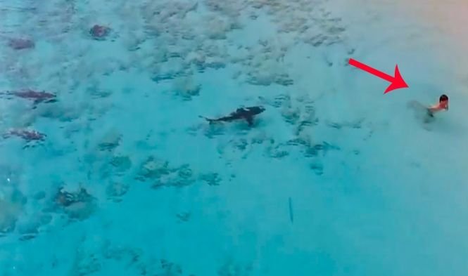 Un copil înota direct în calea a patru rechini. A scăpat cu viață în mod miraculos - VIDEO șocant
