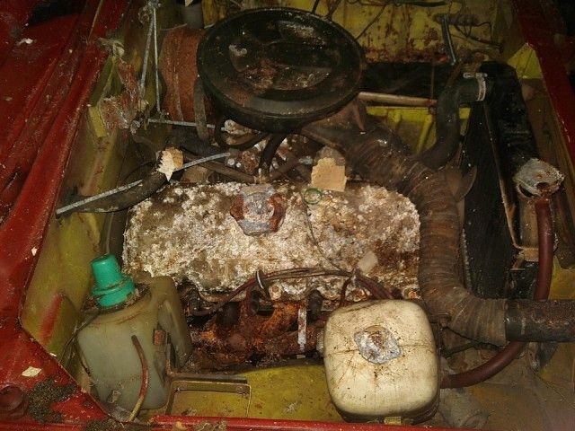 Au descoperit un garaj abandonat, iar când au intrat au dat peste o mașină veche. Bărbatul a deschis capota și a avut un șoc. În interior.... (GALERIE FOTO) 501943