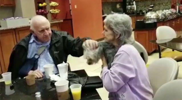 O mașină a intrat în casa lor, iar bătrânii au pierdut lucrul cel mai de preț cu prilejul acestui incident. Când se așteptau mai puțin, au primit un telefon (FOTO)  502065