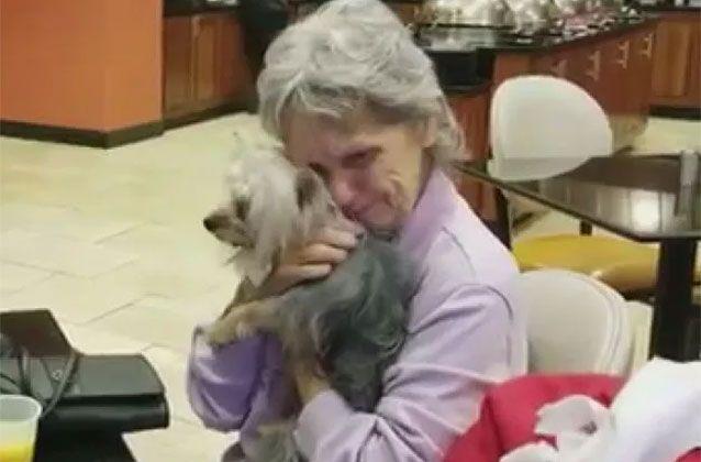 O mașină a intrat în casa lor, iar bătrânii au pierdut lucrul cel mai de preț cu prilejul acestui incident. Când se așteptau mai puțin, au primit un telefon (FOTO)  502066