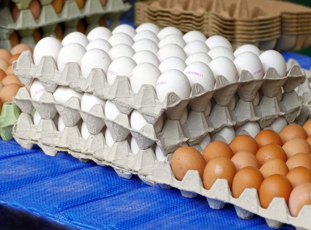 Cu cât s-au scumpit ouăle, laptele şi untul în decembrie 2017