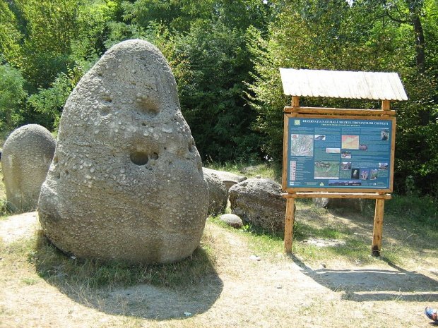 Misterele „pietrelor vii” din România, care cresc de 15 milioane de ani după fiecare ploaie