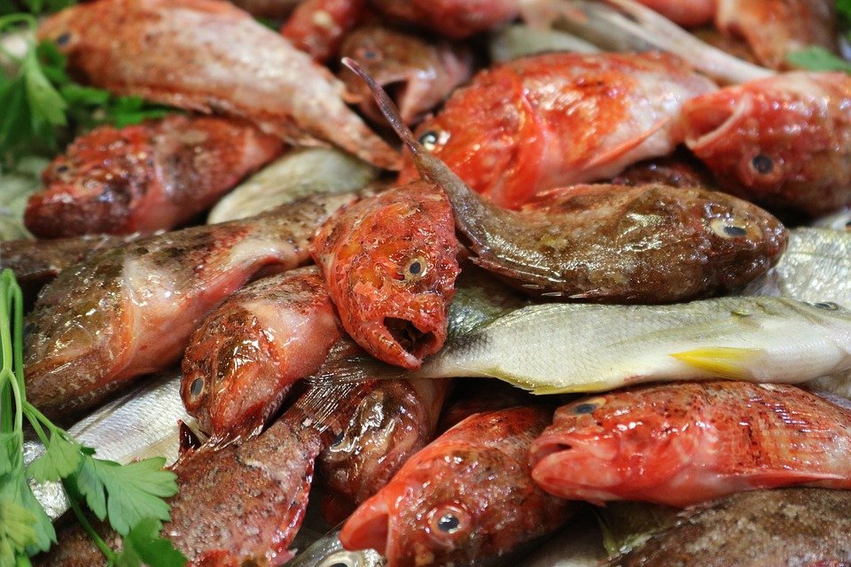 Peştele care paralizează nervii şi poate provoca moartea. ”Facem apel la locuitori să nu mănânce”