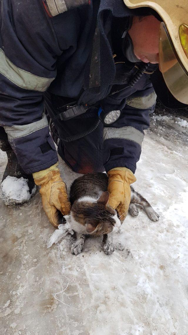 Ce au găsit pompierii din Bacău într-un apartament în flăcări. Când au ieșit, au început să zămbească 504589