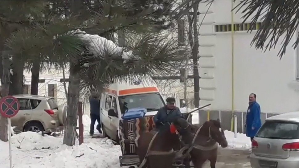 Ambulanţă trasă de cai, în curtea Spitalului de Psihiatrie Socola - VIDEO