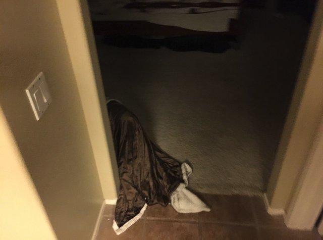 A auzit un zgomot în miezul nopții și s-a trezit speriat. S-a dus în baie, a aprins lumina și a avut un șoc. Pe jos, se afla o pătură care se mișca precum o fantomă (GALERIE FOTO)  506404