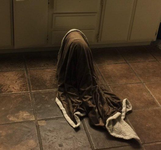 A auzit un zgomot în miezul nopții și s-a trezit speriat. S-a dus în baie, a aprins lumina și a avut un șoc. Pe jos, se afla o pătură care se mișca precum o fantomă (GALERIE FOTO)  506406