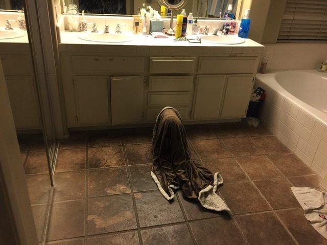 A auzit un zgomot în miezul nopții și s-a trezit speriat. S-a dus în baie, a aprins lumina și a avut un șoc. Pe jos, se afla o pătură care se mișca precum o fantomă (GALERIE FOTO)  506407