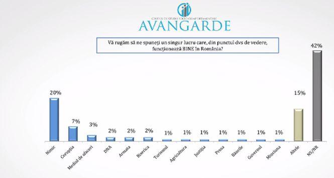 SONDAJ. Românii au fost întrebați ce lucru funcționează bine în România. Iată răspunsurile 506462