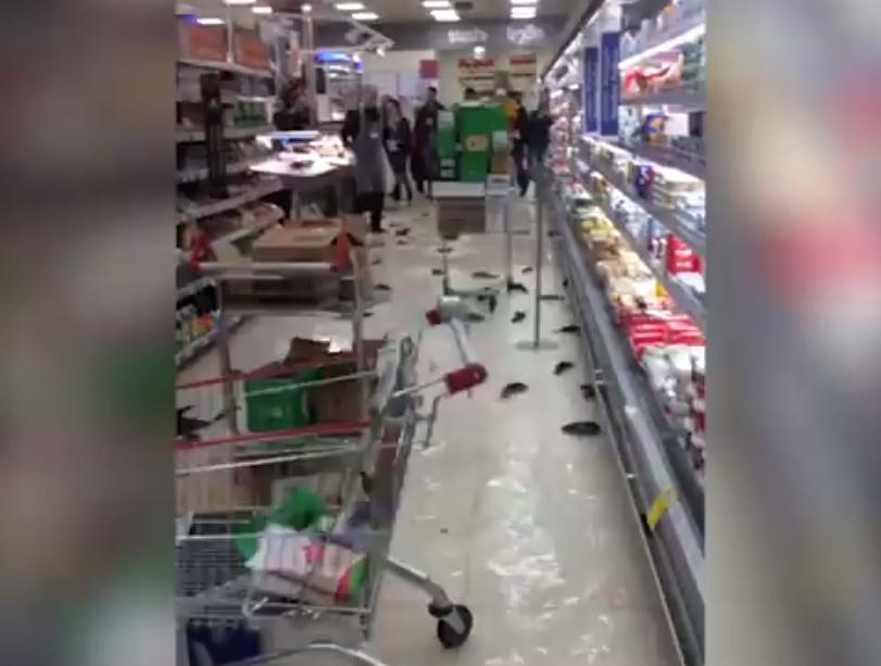 Imagini apocaliptice într-un supermarket! Oamenilor nu le-a venit să creadă când au văzut ce se aflau printre rafturi (FOTO+VIDEO) 507562