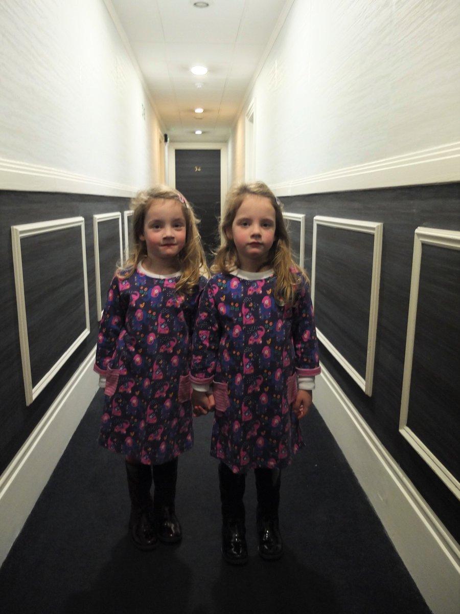 Un tată și-a folosit gemenele ca să sperie oamenii dintr-un hotel. Ce au făcut cele două fetițe 507994