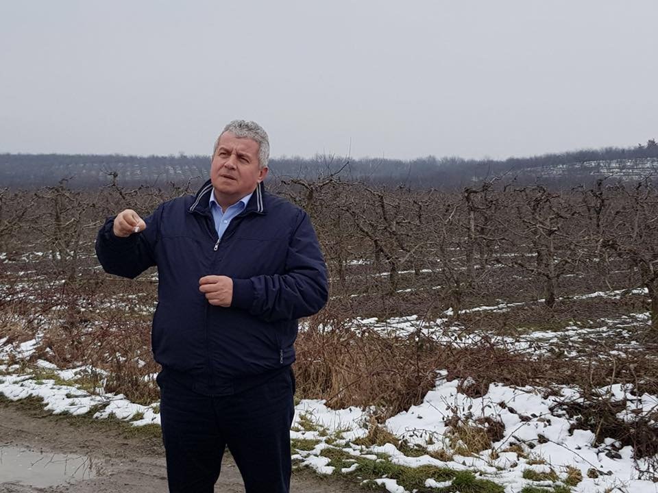 Mesajul de alarmă tras de un europarlamentar român: 40% dintre terenurile agricole sunt în deținute de cetățeni străini