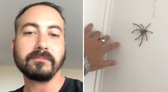 A văzut un păianjen pe perete, dar în loc să scape de el, bărbatul a decis să se joace. Ce a urmat însă este șocant. Momentul a fost înregistrat (VIDEO) 