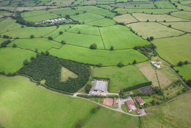 Când soția sa a murit, bărbatul a luat o decizie incredibilă. S-a dus în grădină și s-a apucat să planteze copaci. Au crezut că este nebun, dar după 20 de ani, toată lumea a înțeles. „Este uluitor!” (FOTO) 509812