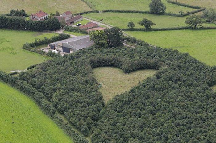 Când soția sa a murit, bărbatul a luat o decizie incredibilă. S-a dus în grădină și s-a apucat să planteze copaci. Au crezut că este nebun, dar după 20 de ani, toată lumea a înțeles. „Este uluitor!” (FOTO) 509813