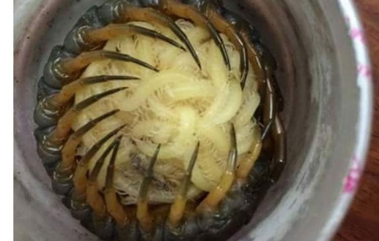 Era în bucătărie și a auzit un foșnet într-un pahar. Când s-a uitat înăuntru, a avut un șoc. Ce a găsit pe fundul paharului e înfiorător 510037