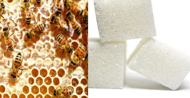 Aceasta este marea diferență dintre miere și zahăr. Sigur nu știai asta!