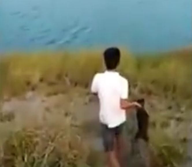 VIDEO șocant! Momentul în care un copil aruncă un cățeluș într-un lac populat de crocodili