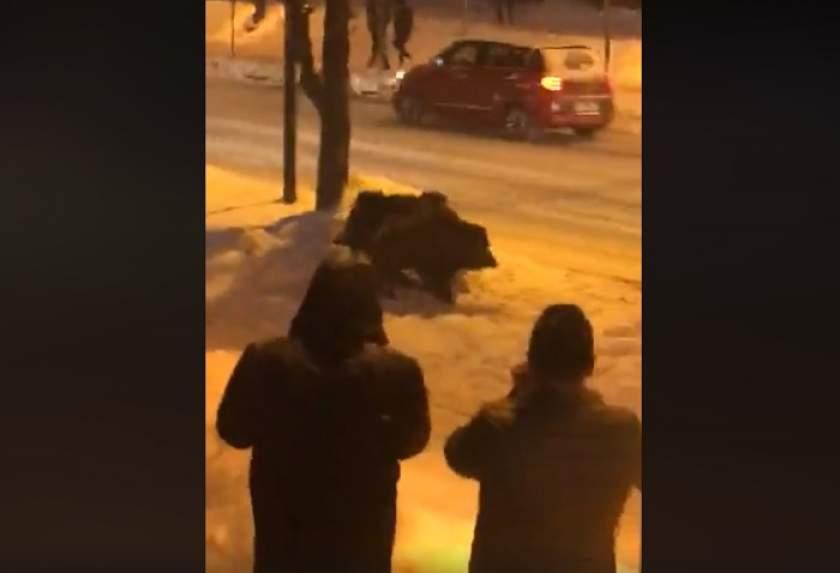 Imagini şocante în Sinaia. Oamenii au crezut că nu văd bine 511172