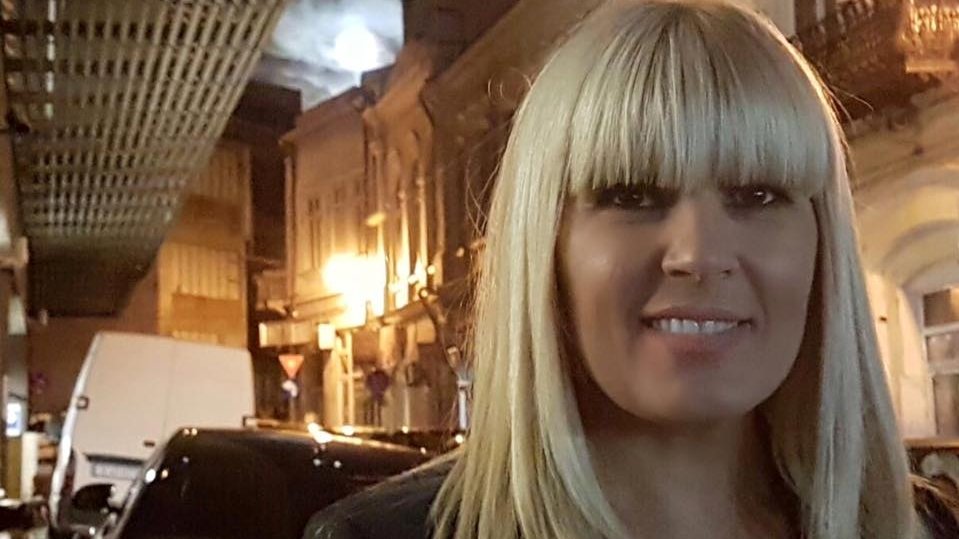 Elena Udrea rupe tăcerea. Ce anunț a făcut fosta deputată