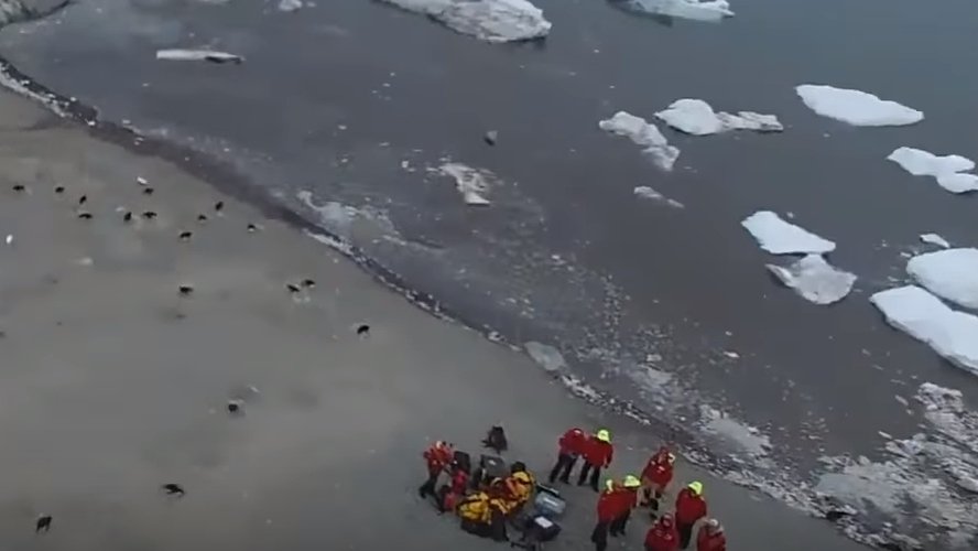 O descoperire uimitoare în Antarctica anulează toate temerile - VIDEO