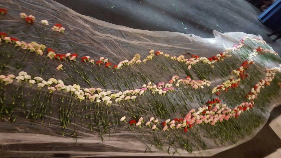 Povestea elevului care a oferit aproape o mie de flori altor fete, deși avea o prietenă. Motivul este înduioșător 512580