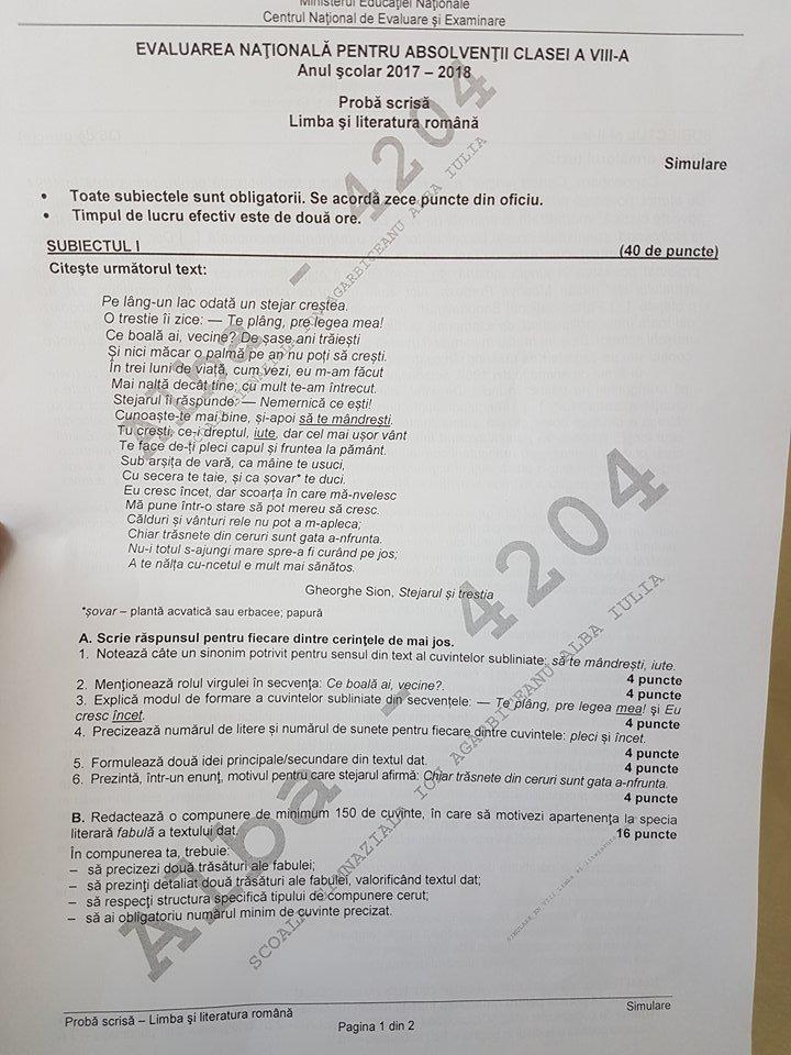 SIMULARE EVALUARE NAŢIONALĂ 2018. Avem SUBIECTELE şi BAREMUL la română, clasa a VIII-a 512759