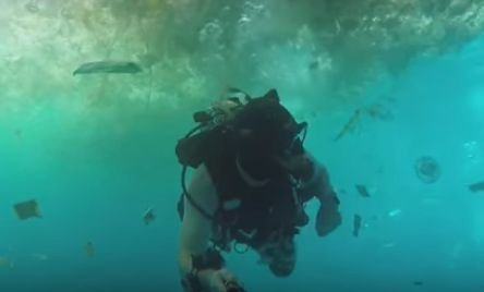 Scenele filmate de un scafandru în apele din Indonezia au revoltat o lume întreagă. Turiștii scot insula Bali de pe lista de destinații în care vor să ajungă (VIDEO)