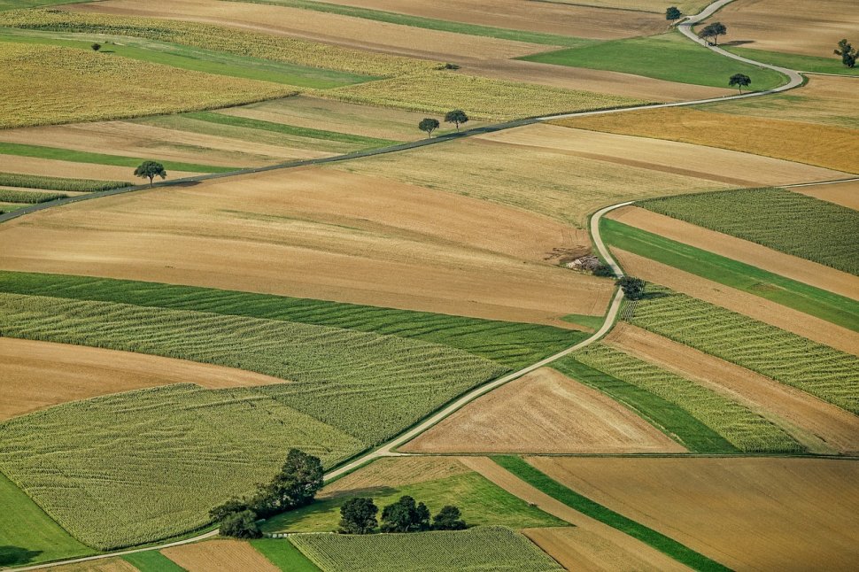 Dragnea: Trebuie să revizuim legile privind vânzarea terenurilor agricole