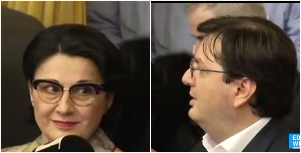 Ecaterina Andronescu și Nicolae Bănicioiu au decis să-și retragă candidaturile, în semn de protest