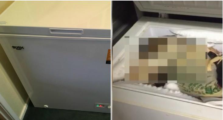 Își cumpărase două lăzi frigorifice cu bani puțini, dar când a ajuns acasă și le-a deschis a fost de-a dreptul șocat. A pus mâna pe telefon și a sunat direct la poliție. „Sunt peste 40!” (FOTO) 514496