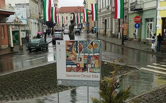 Ce a pățit primarul din Sfântu Gheorghe după ce a împânzit orașul cu drapele în culorile Ungariei