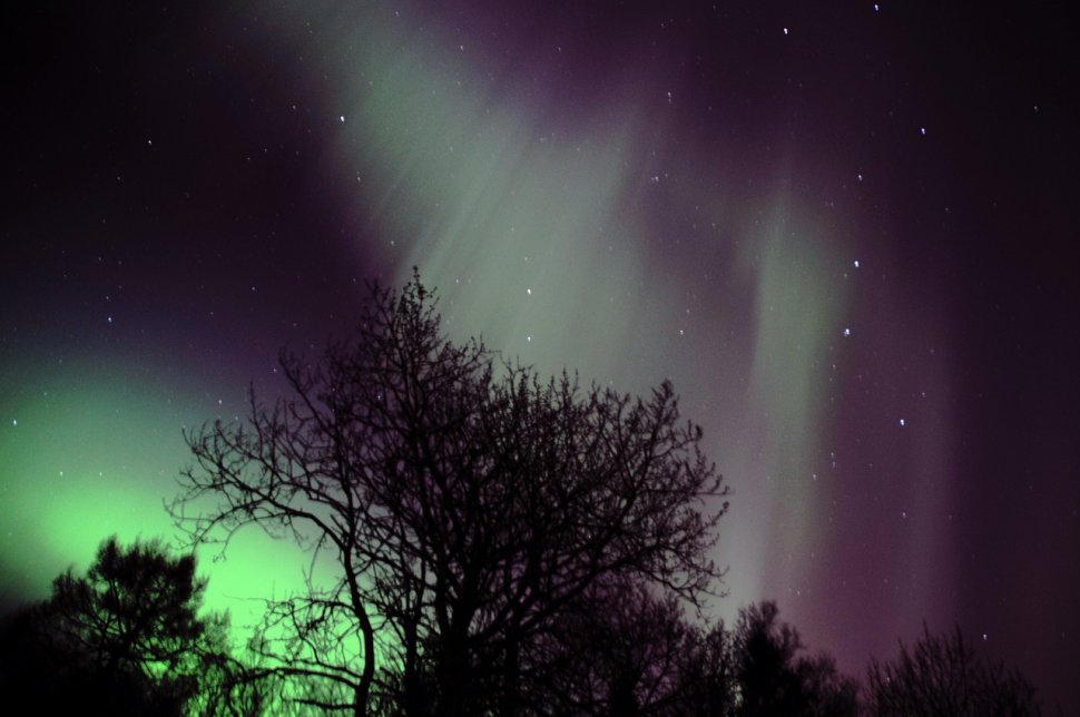 Aurora boreală, deasupra Finlandei. Nuanţe de roz şi verde au luminat cerul - VIDEO