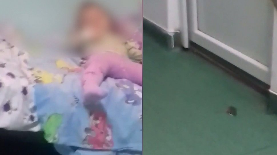 Imagini halucinante într-un spital de copii din Craiova. Saloanele, infestate cu șoareci - VIDEO