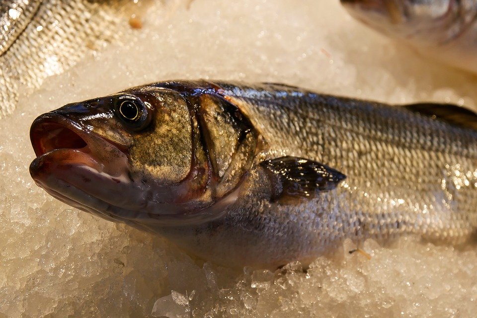 De ce nu e bine să arunci solzii de peşte! Cum îţi pot salva viaţa