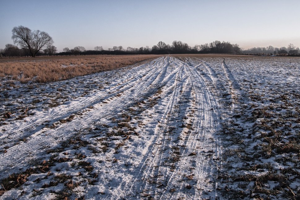 Iarna se întoarce peste România, recoltele agricole sunt în mare pericol. Vremea rea ne-ar putea lăsă fără fructe, legume şi cereale