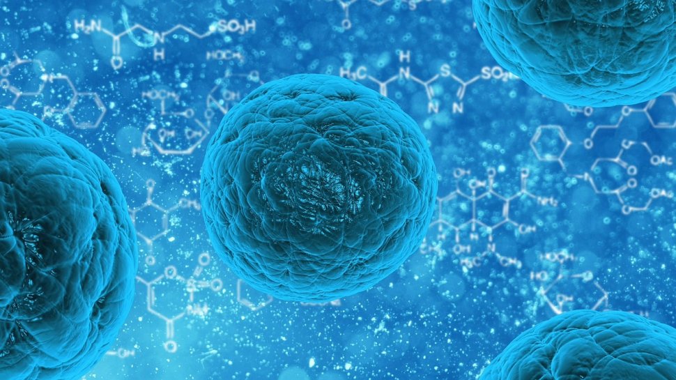 Tratament miraculos cu celule stem ce poate vindeca scleroza multiplă