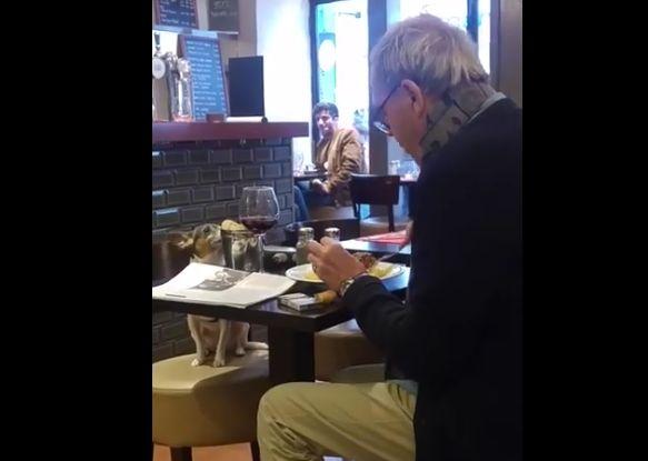 S-a dus în restaurant, dar nu se aștepta să vadă așa ceva. Așa că a pus mâna pe telefon și a înregistrat totul (FOTO+VIDEO) 516209