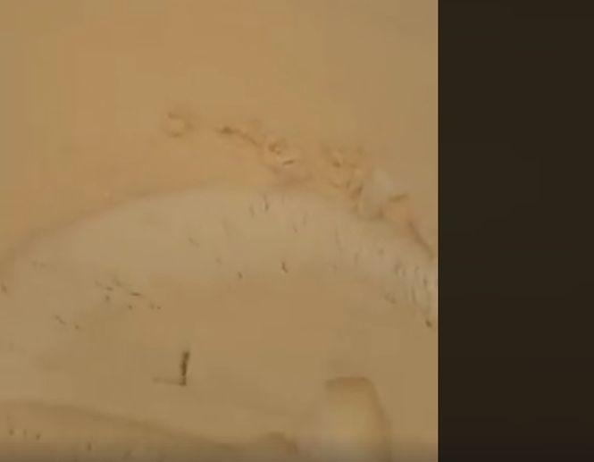 Un fenomen rar în România! A nins cu zăpadă galbenă la Brăila. Un artist de la noi a publicat imaginile pe net 516825