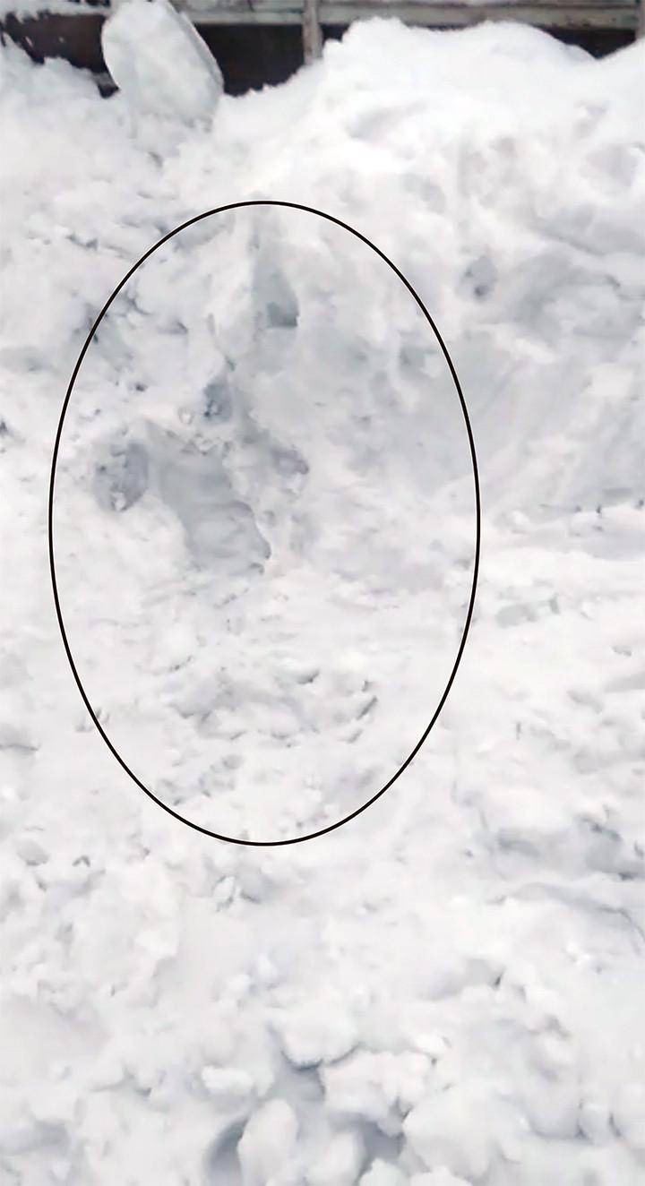  O femeie a supraviețuit patru ore sub zăpadă! ”Strigam după ajutor, dar nu mă auzea nimeni…" - Cum s-a terminat totul 517397